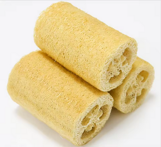 Sponge (loofah)