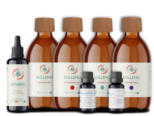 Epstein-Barr-Virus, Lymeboreliose & alle Arten von Arthritis - Set 6: Das optimierte Set zur Therapie-Begleitung bei EBV